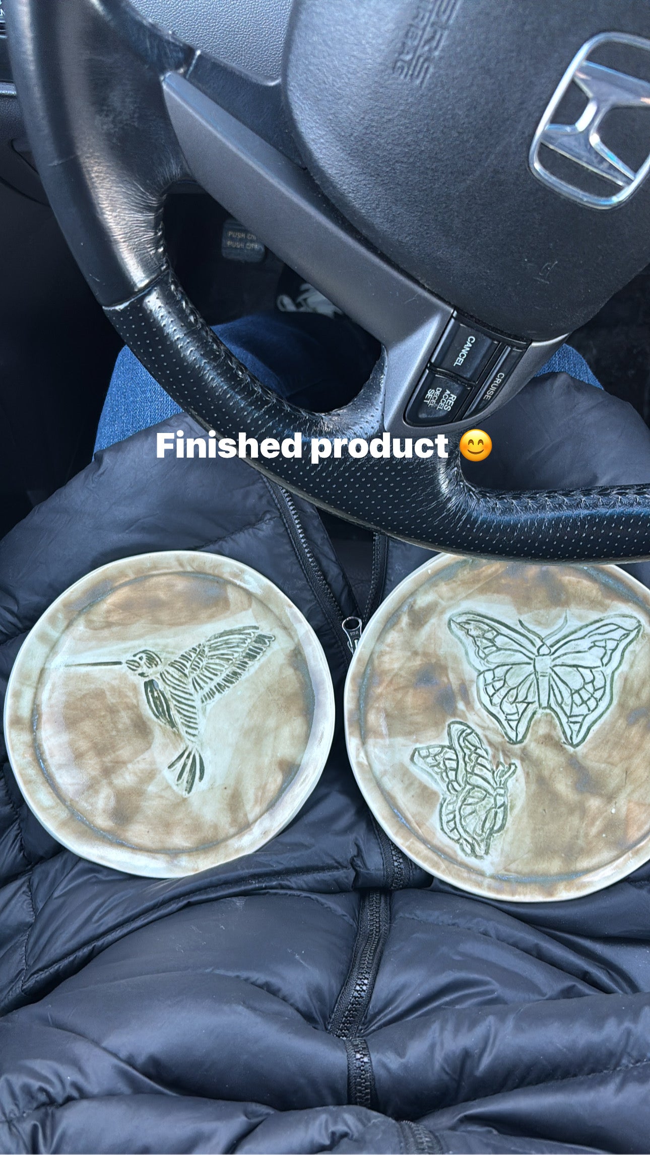 Humming bird and Butterflies