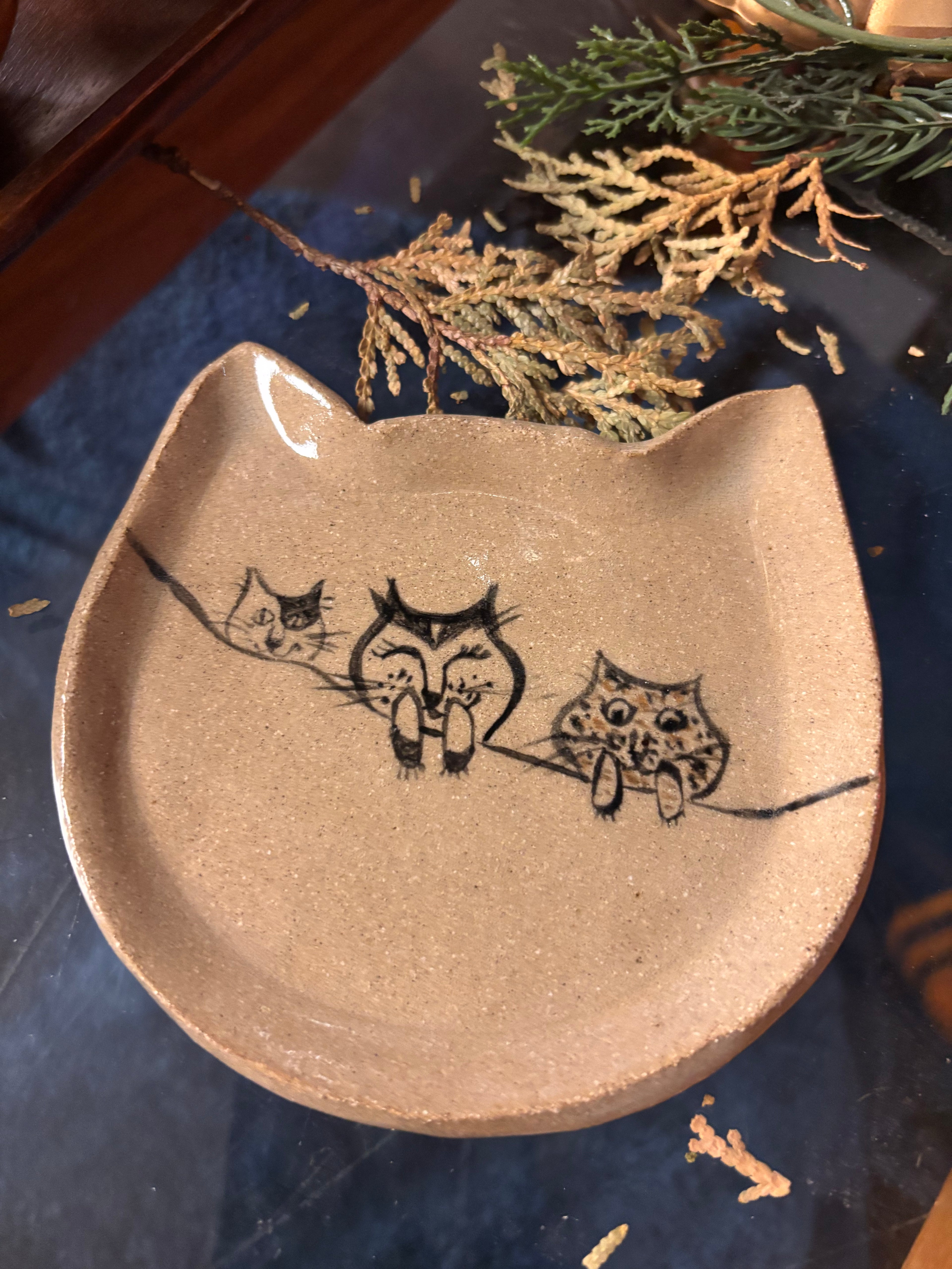 Cat dish